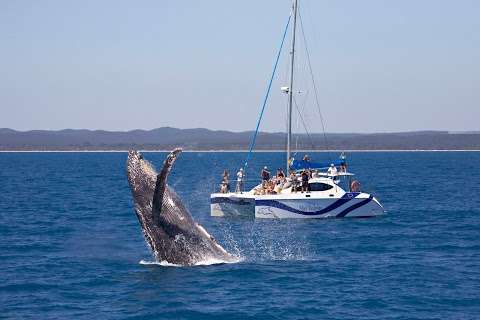 Photo: Blue Dolphin Marine Tours