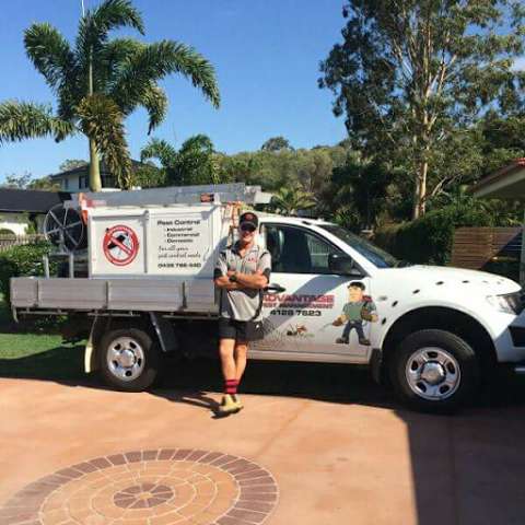 Photo: Advantage Pest and termite management Hervey Bay